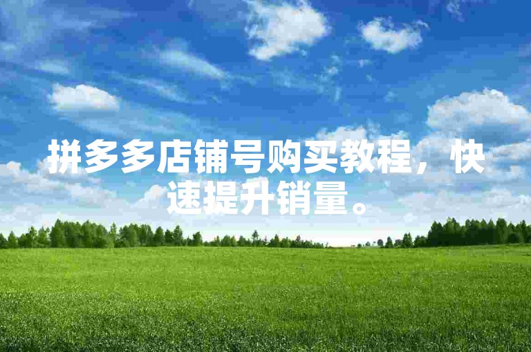 拼多多店铺号购买教程，快速提升销量。