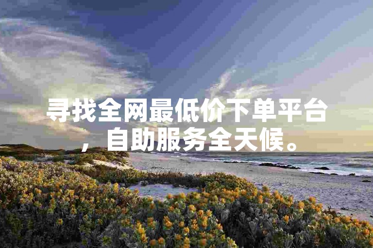 寻找全网最低价下单平台，自助服务全天候。