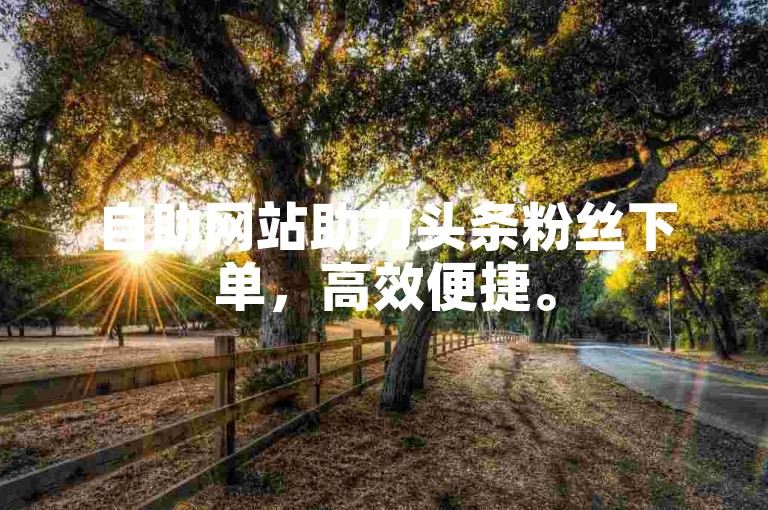 自助网站助力头条粉丝下单，高效便捷。