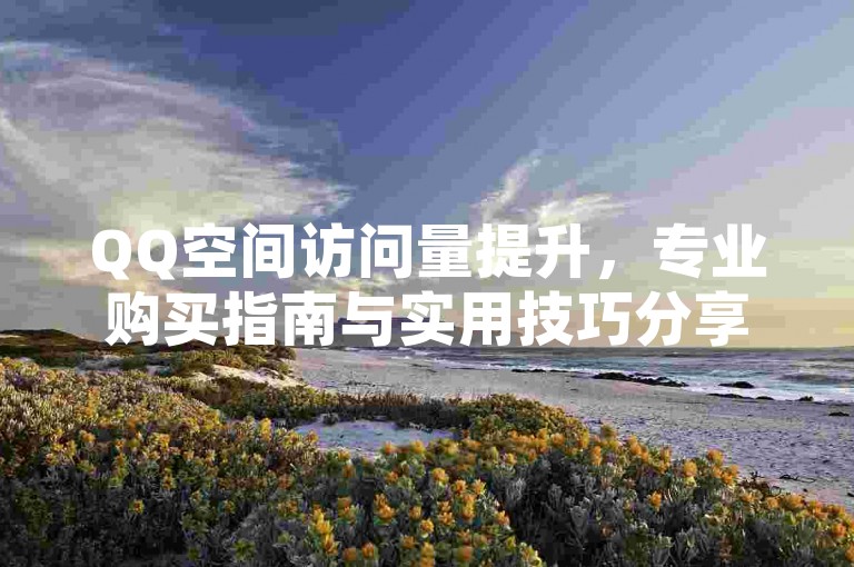 QQ空间访问量提升，专业购买指南与实用技巧分享。