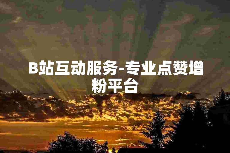 B站互动服务-专业点赞增粉平台