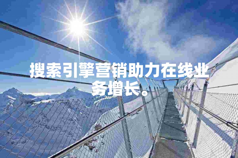 搜索引擎营销助力在线业务增长。