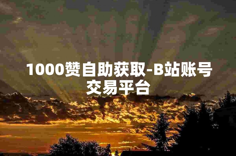 1000赞自助获取-B站账号交易平台