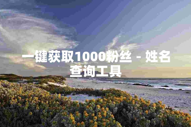 一键获取1000粉丝 - 姓名查询工具