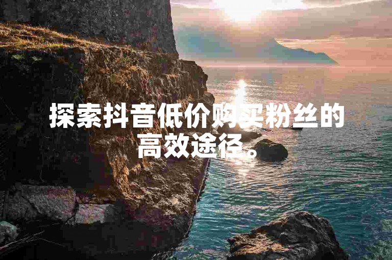 探索抖音低价购买粉丝的高效途径。