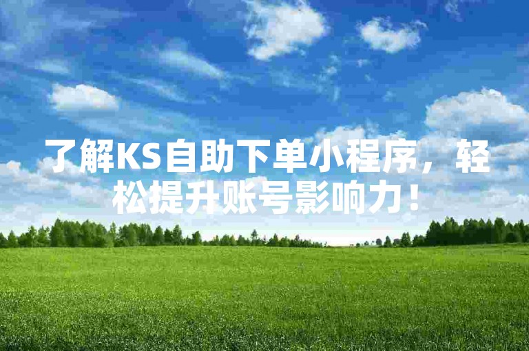了解KS自助下单小程序，轻松提升账号影响力！