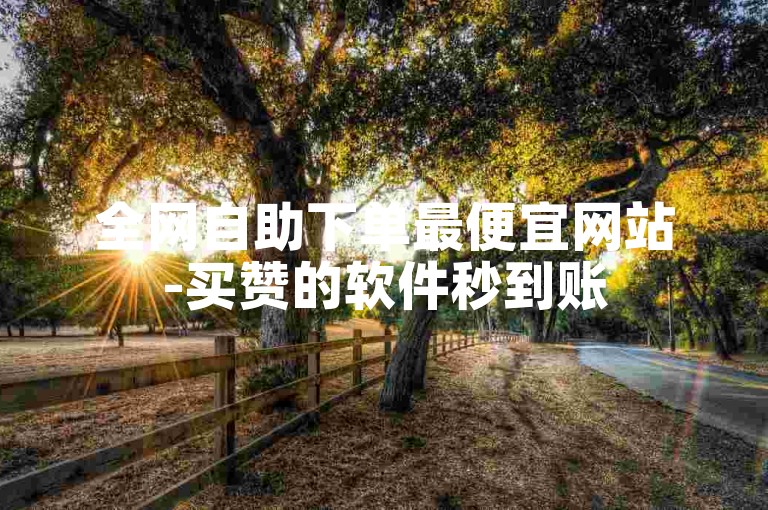 全网自助下单最便宜网站-买赞的软件秒到账