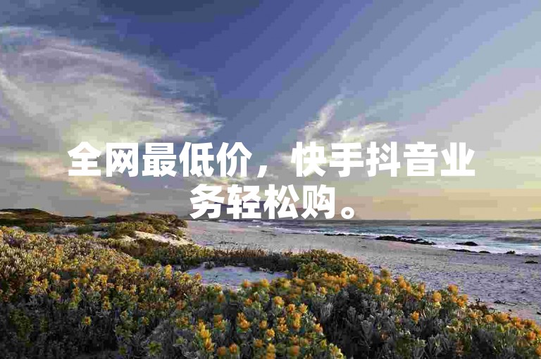 全网最低价，快手抖音业务轻松购。