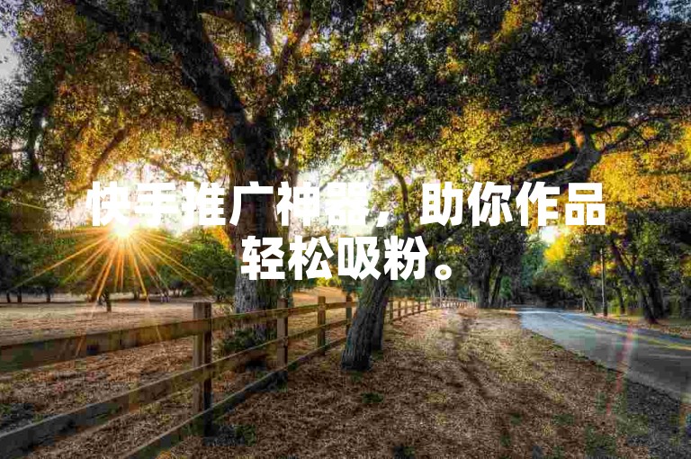 快手推广神器，助你作品轻松吸粉。