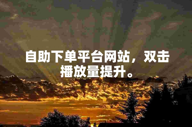 自助下单平台网站，双击播放量提升。