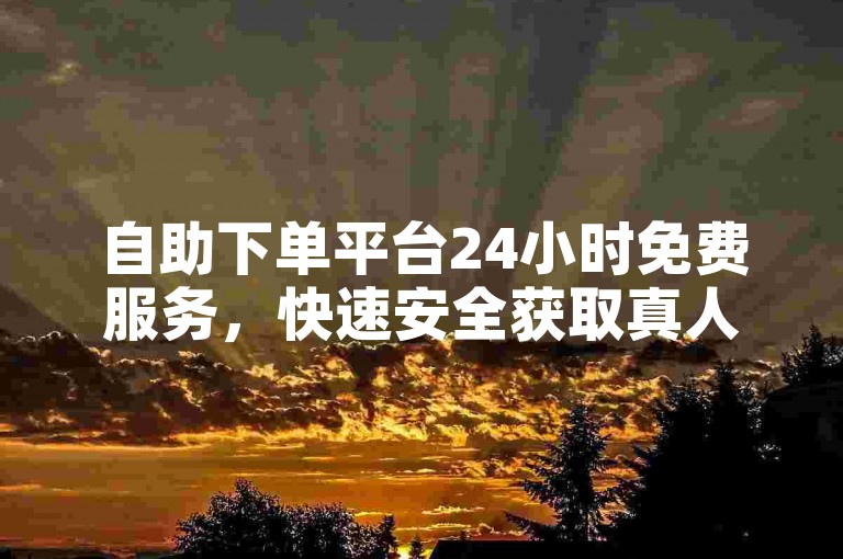 自助下单平台24小时免费服务，快速安全获取真人点赞。