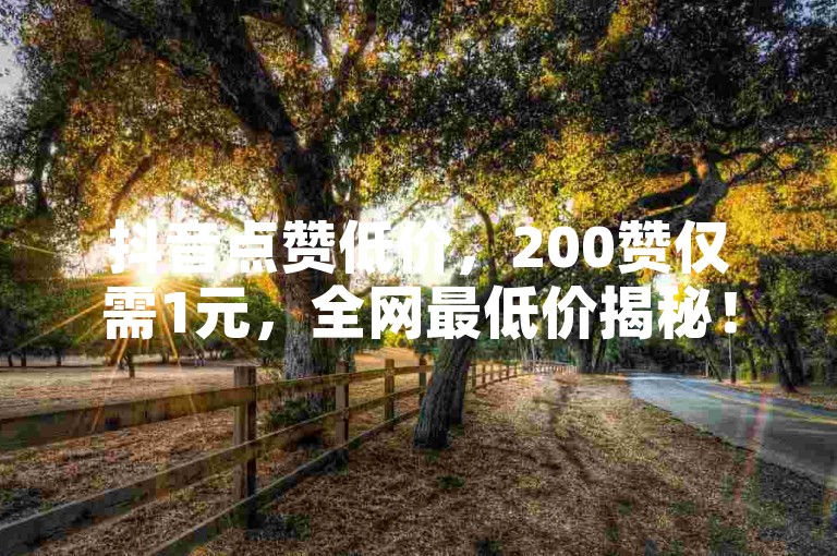 抖音点赞低价，200赞仅需1元，全网最低价揭秘！