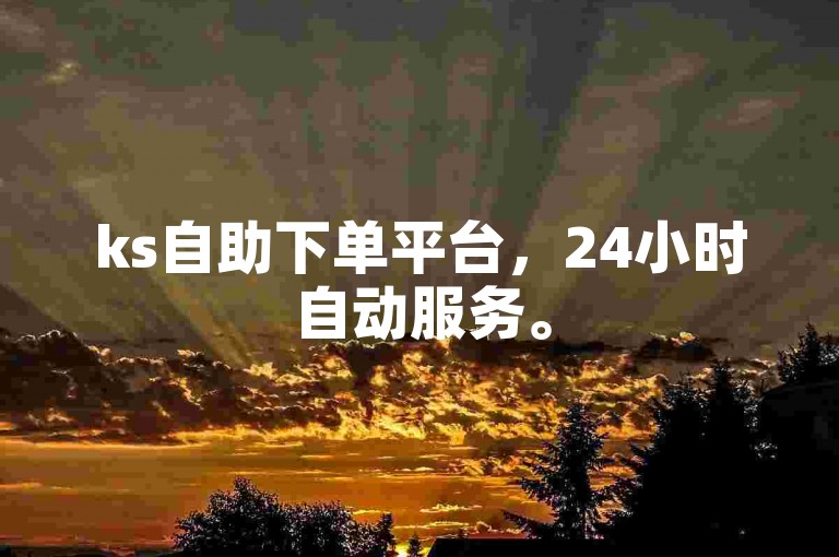 ks自助下单平台，24小时自动服务。