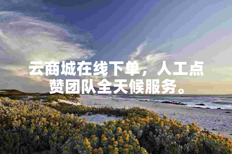 云商城在线下单，人工点赞团队全天候服务。