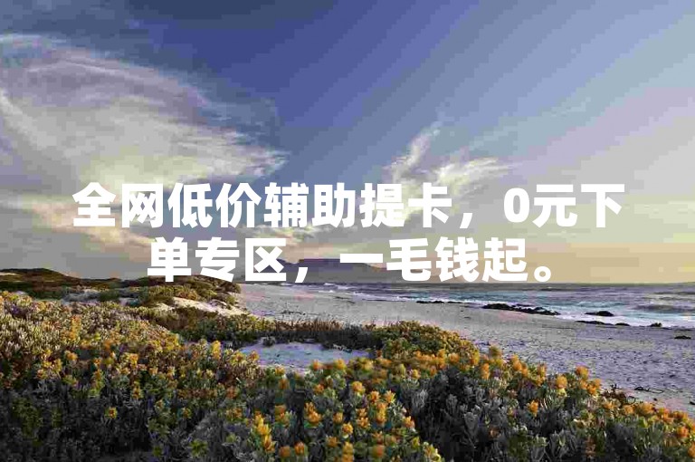 全网低价辅助提卡，0元下单专区，一毛钱起。