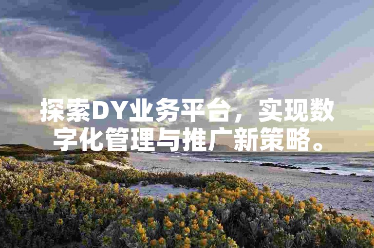 探索DY业务平台，实现数字化管理与推广新策略。