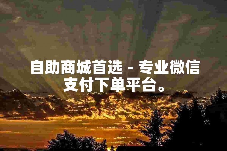 自助商城首选 - 专业微信支付下单平台。