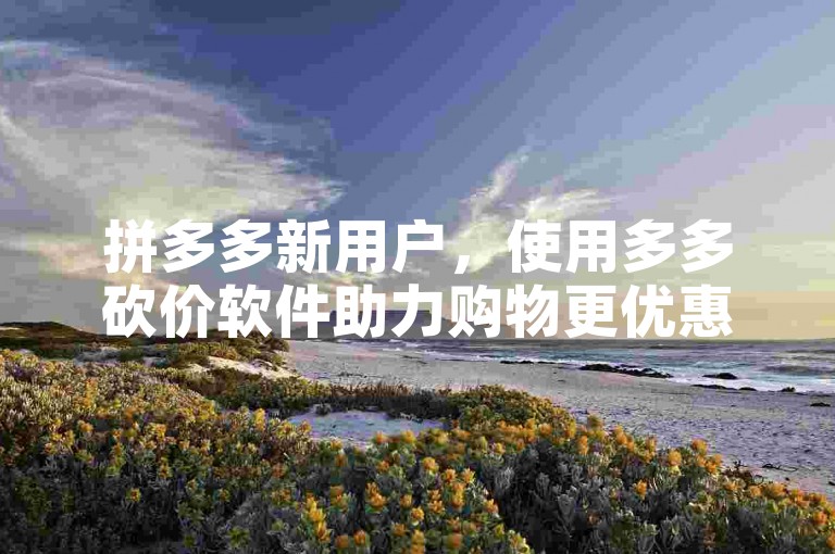 拼多多新用户，使用多多砍价软件助力购物更优惠。