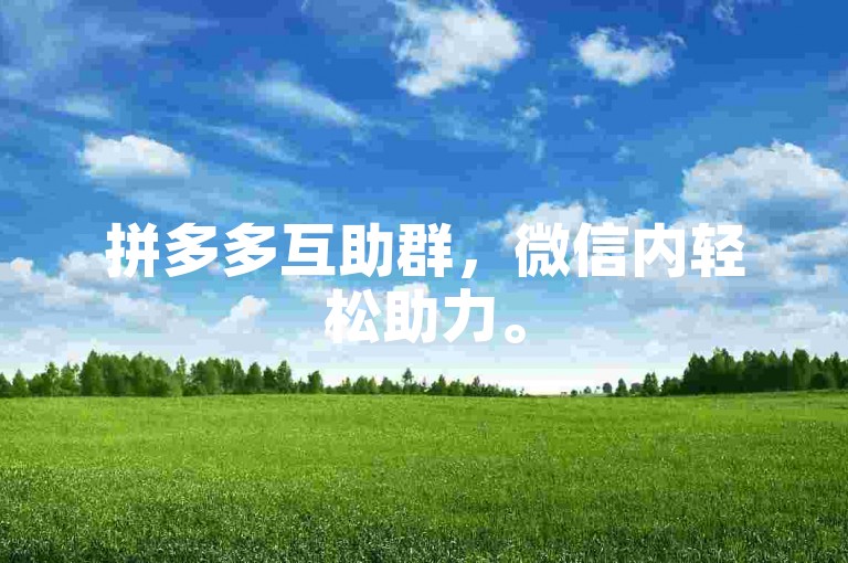拼多多互助群，微信内轻松助力。