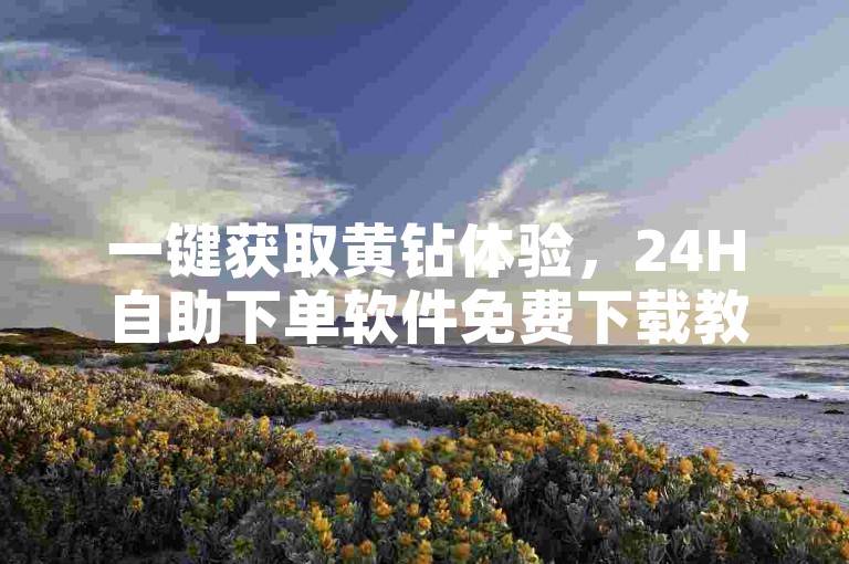 一键获取黄钻体验，24H自助下单软件免费下载教程。