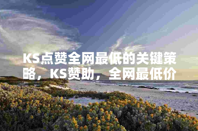 KS点赞全网最低的关键策略，KS赞助，全网最低价！新人必看！
