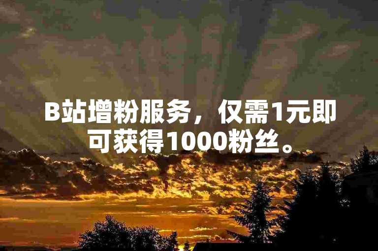 B站增粉服务，仅需1元即可获得1000粉丝。