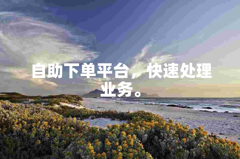 自助下单平台，快速处理业务。