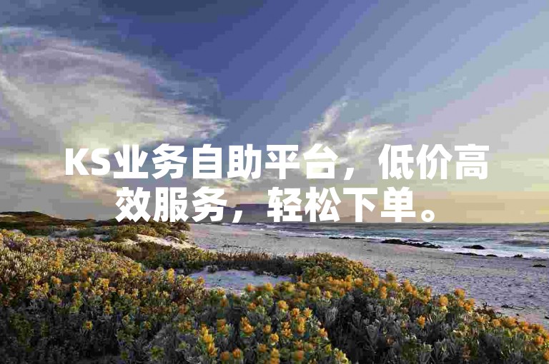KS业务自助平台，低价高效服务，轻松下单。