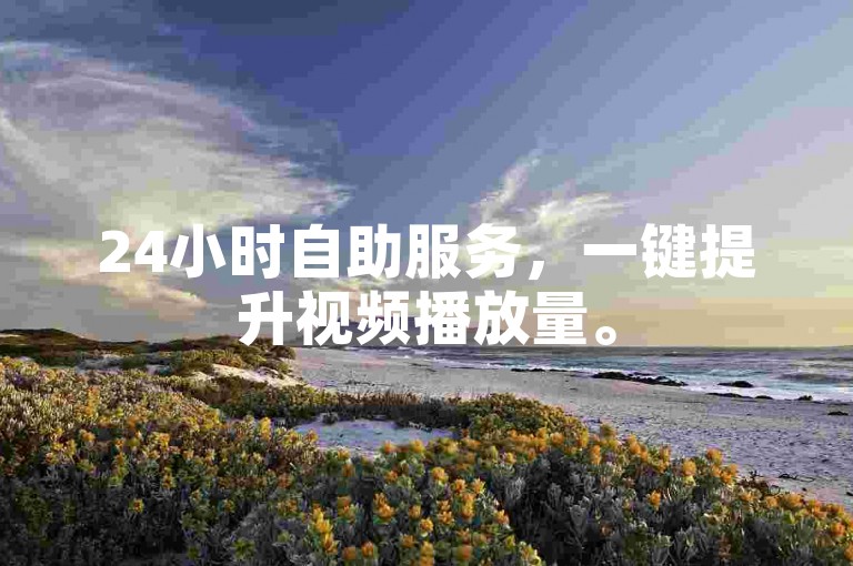 24小时自助服务，一键提升视频播放量。