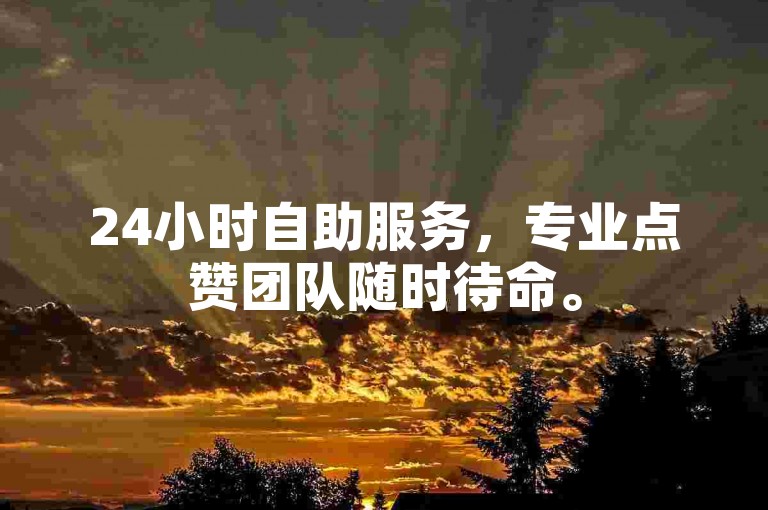 24小时自助服务，专业点赞团队随时待命。