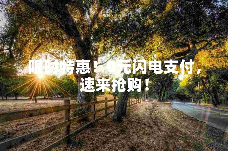 限时特惠！0元闪电支付，速来抢购！