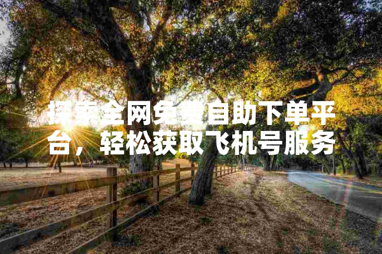 探索全网免费自助下单平台，轻松获取飞机号服务。