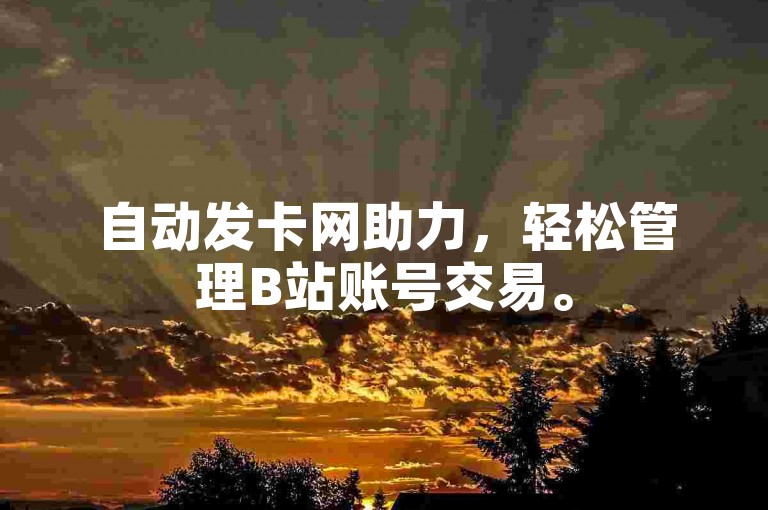 自动发卡网助力，轻松管理B站账号交易。