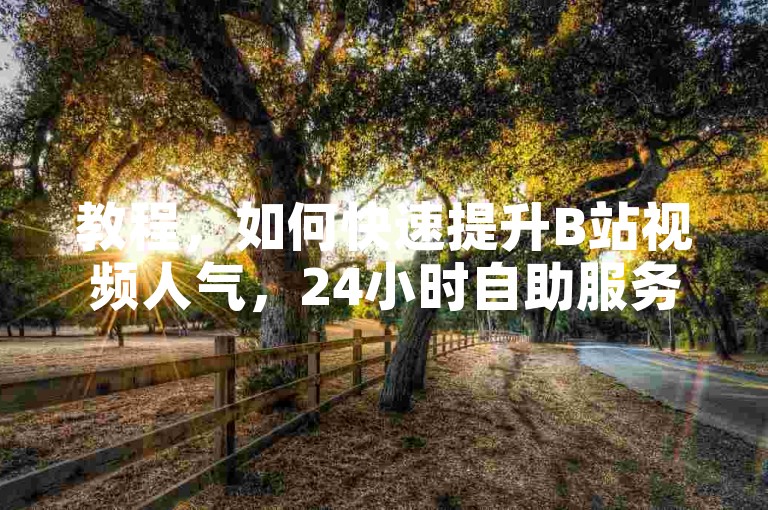 教程，如何快速提升B站视频人气，24小时自助服务助你一臂之力。
