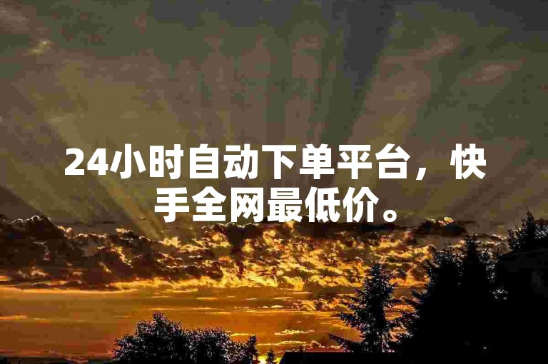24小时自动下单平台，快手全网最低价。