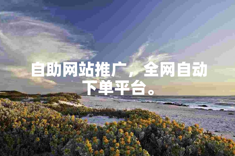 自助网站推广，全网自动下单平台。