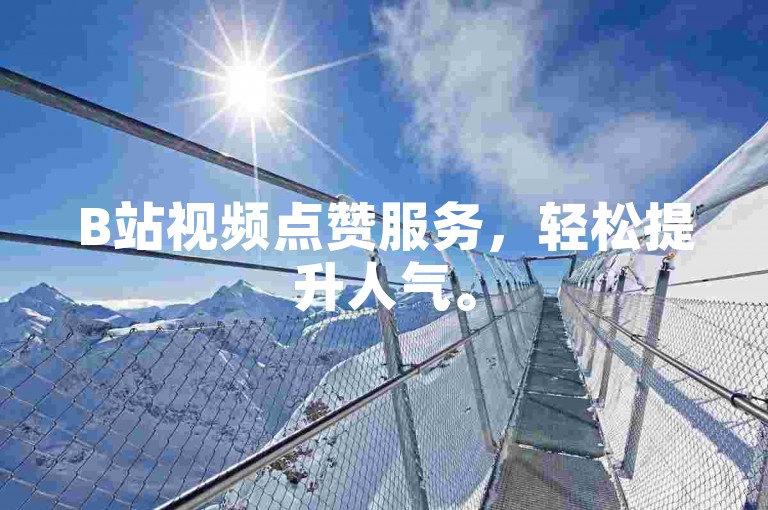 B站视频点赞服务，轻松提升人气。