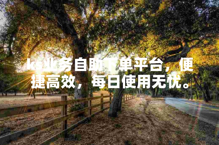 ks业务自助下单平台，便捷高效，每日使用无忧。