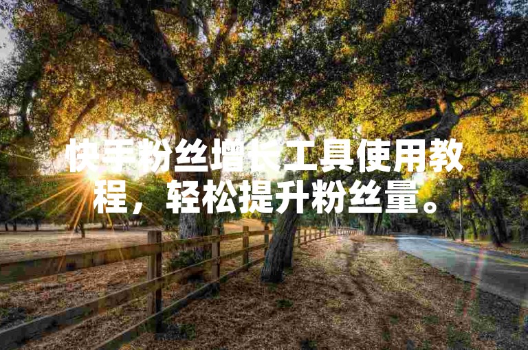 快手粉丝增长工具使用教程，轻松提升粉丝量。