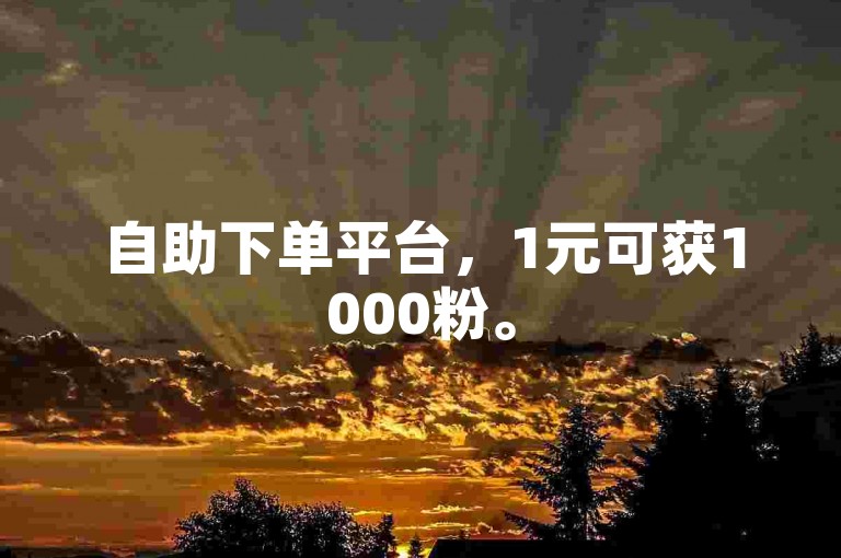 自助下单平台，1元可获1000粉。