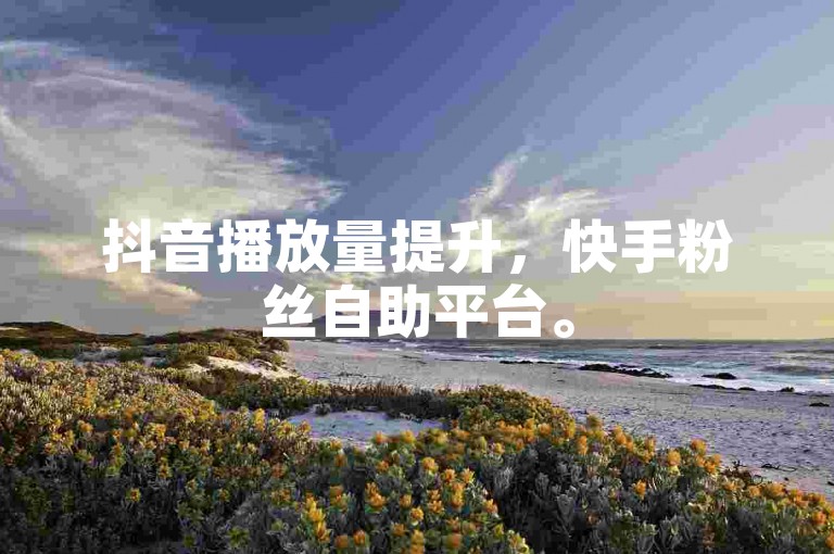 抖音播放量提升，快手粉丝自助平台。
