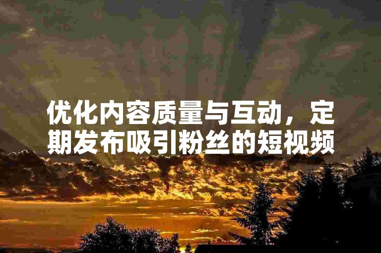 优化内容质量与互动，定期发布吸引粉丝的短视频。