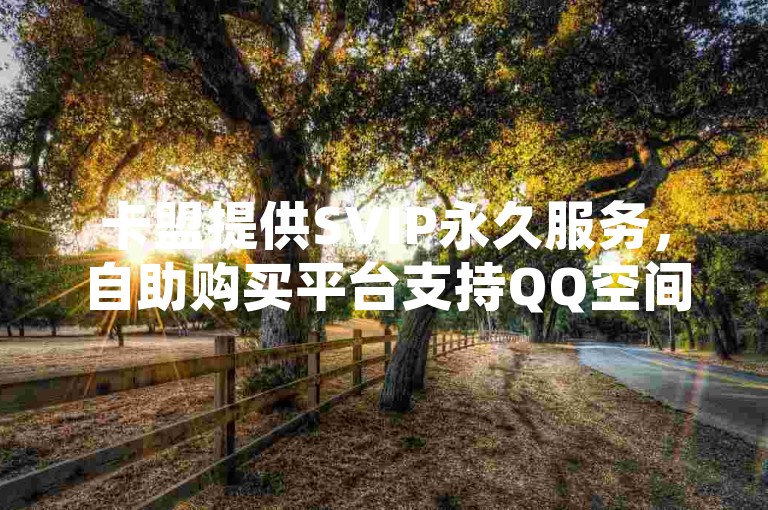 卡盟提供SVIP永久服务，自助购买平台支持QQ空间说说及抖音充值。