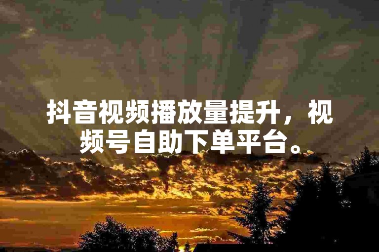 抖音视频播放量提升，视频号自助下单平台。