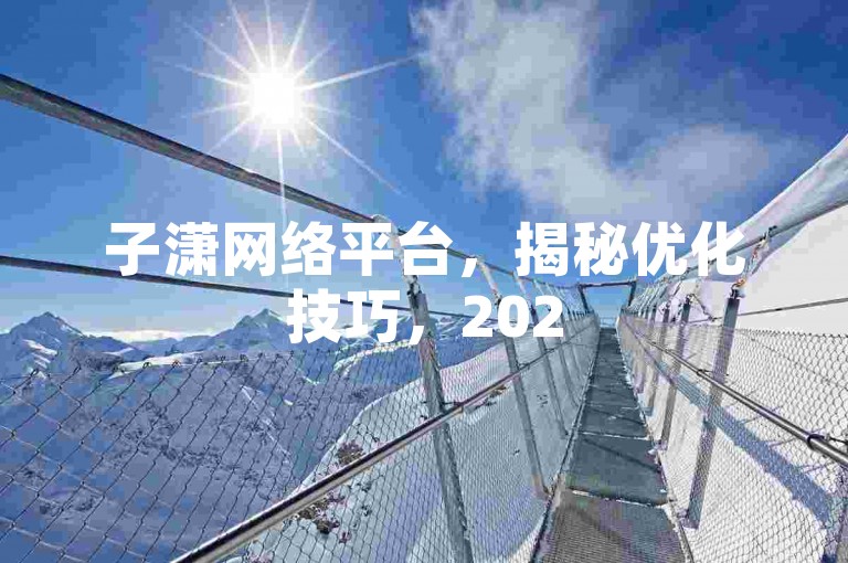 子潇网络平台，揭秘优化技巧，2025必备利器！