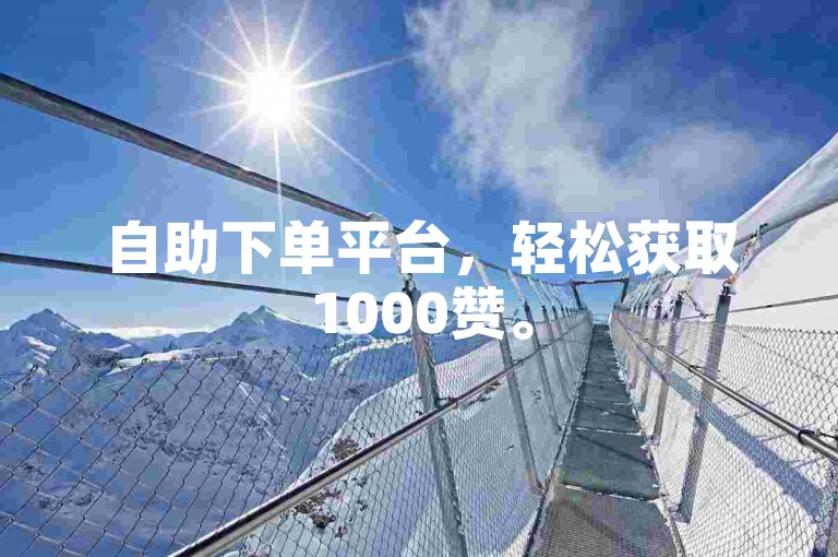 自助下单平台，轻松获取1000赞。