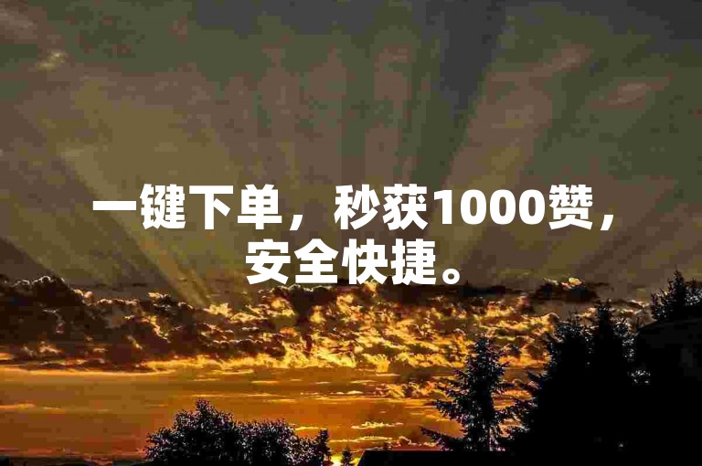 一键下单，秒获1000赞，安全快捷。