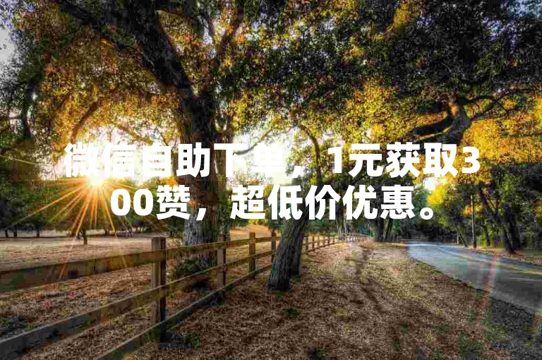 微信自助下单，1元获取300赞，超低价优惠。