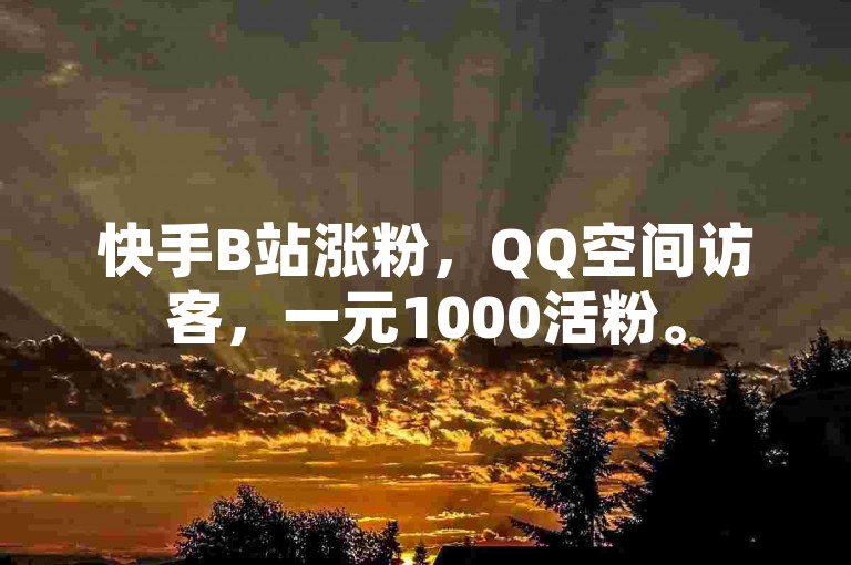 快手B站涨粉，QQ空间访客，一元1000活粉。