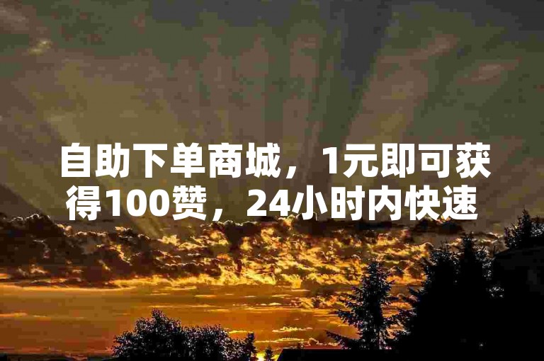 自助下单商城，1元即可获得100赞，24小时内快速送达。